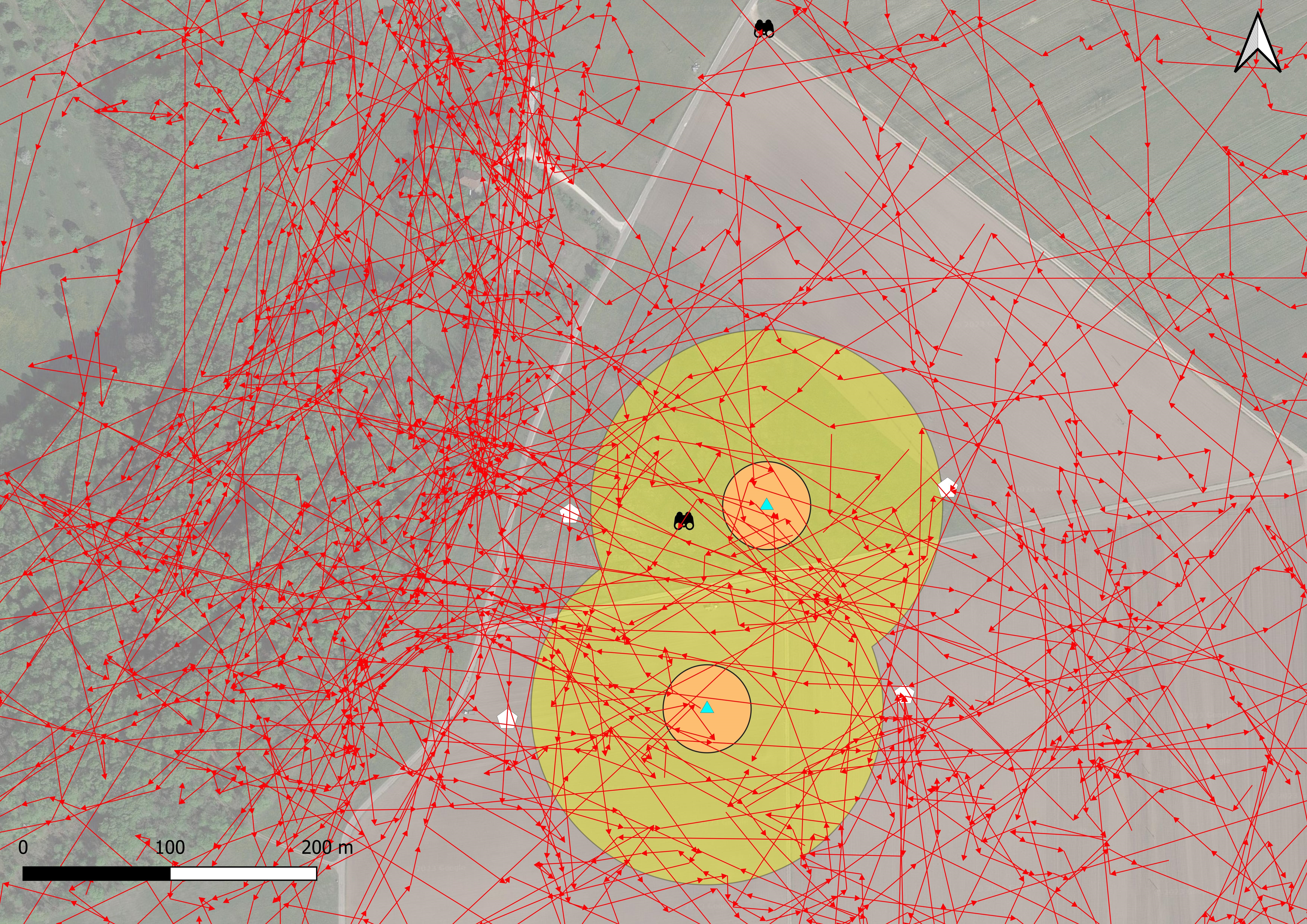 Map of the WINSENT test site with flight paths of the recorded red kites marked